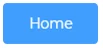 Home button